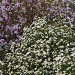 25.10.2020. Kielce. Ogród botaniczny jesienią / Jarosław Kubalski / Radio Kielce