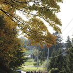 20.10.2020 Bieliny. Uroczystości pogrzebowe Alfredy Zawieruchy-Rubak / Jarosław Kubalski / Radio Kielce