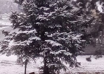 01.04.2020 Wiosenny śnieg w województwie świętokrzyskim. Zdjęcia słuchaczy / Marcin Grzesik