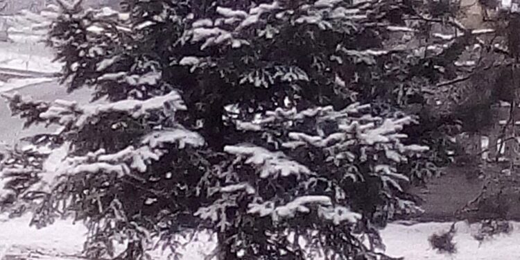 01.04.2020 Wiosenny śnieg w województwie świętokrzyskim. Zdjęcia słuchaczy / Marcin Grzesik