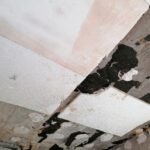 Pińczów. Zniszczenia po pożarze domu / Marta Gajda / Radio Kielce