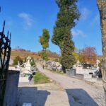 31.10.2020 Pińczów. Cmentarz / Marta Gajda / Radio Kielce