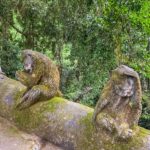 Indonezja. Bali / Travelstory.pl