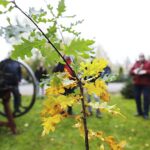 24.10.2020. Święta Katarzyna. Uroczystości 70-lecia PTTK / Jarosław Kubalski / Radio Kielce