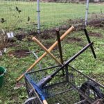 08.10.2020. Sandomierz. Sadzenie drzew w ramach ogólnopolskiej kampanii Pary Prezydenckiej #sadziMY / Grażyna-Szlęzak-Wójcik / Radio Kielce