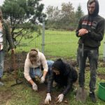 08.10.2020. Sandomierz. Sadzenie drzew w ramach ogólnopolskiej kampanii Pary Prezydenckiej #sadziMY / Grażyna-Szlęzak-Wójcik / Radio Kielce