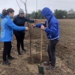 12.10.2020 Sandomierz. Zespół Szkół Centrum Kształcenia Rolniczego. Sadzenie dawnych gatunków śliw / Grażyna Szlęzak-Wójcik / Radio Kielce