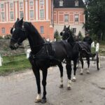 18.10.2020. Kurozwęki. Hubertus / Grażyna-Szlęzak-Wójcik / Radio Kielce