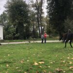 18.10.2020. Kurozwęki. Hubertus / Grażyna-Szlęzak-Wójcik / Radio Kielce