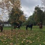 18.10.2020. Kurozwęki. Hubertus / Grażyna-Szlęzak-Wójcik / Radio Kielce