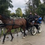 18.10.2020. Kurozwęki. Hubertus / Grażyna-Szlęzak-Wójcik / Radio Kielce