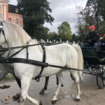 18.10.2020. Kurozwęki. Hubertus / Grażyna-Szlęzak-Wójcik / Radio Kielce