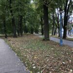 21.10.2020 Sandomierz. Park miejski / Grażyna Szlęzak-Wójcik / Radio Kielce