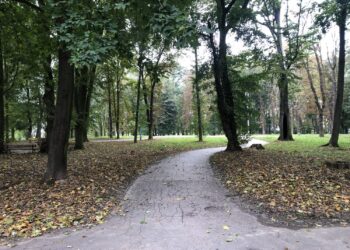 21.10.2020 Sandomierz. Park miejski / Grażyna Szlęzak-Wójcik / Radio Kielce