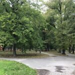 21.10.2020 Sandomierz. Park miejski / Grażyna Szlęzak-Wójcik / Radio Kielce