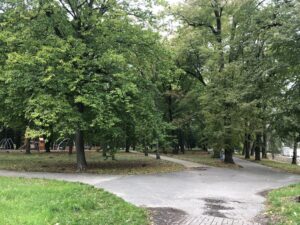 21.10.2020 Sandomierz. Park miejski / Grażyna Szlęzak-Wójcik / Radio Kielce