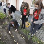 08.10.2020 Kielce. Inauguracja kampanii "Pola Nadziei". Sadzenie żonkili przy budynku Hospicjum im. św. Matki Teresy z Kalkuty / Jarosław Kubalski / Radio Kielce