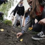 08.10.2020 Kielce. Inauguracja kampanii "Pola Nadziei". Sadzenie żonkili przy budynku Hospicjum im. św. Matki Teresy z Kalkuty / Jarosław Kubalski / Radio Kielce