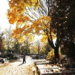 24.10.2020 Kielce. Sprzątanie grobów na cmentarzach / Jarosław Kubalski / Radio Kielce