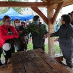 17.10.2020. Ćmielów. Akcja „515 sadzonek drzew z okazji 515. rocznicy nadania praw miejskich” / Emilia Sitarska / Radio Kielce