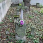 Sandomierz. Cmentarz katedralny. Nagrobek Dimitrija Daniłowa / archiwum