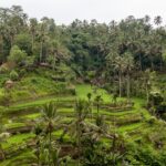 Indonezja. Bali / Travelstory.pl