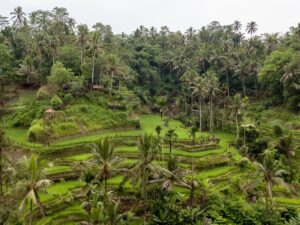 Indonezja. Bali / Travelstory.pl