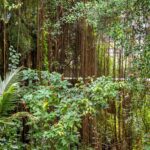 Indonezja. Bali / Travelstory.pl