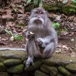 Indonezja. Bali / Travelstory.pl