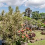 Indonezja. Bali / Travelstory.pl