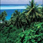 Muzyczne podróże. Polinezja Francuska / Grażyna Woźniczka