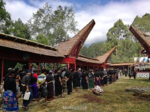 Tana Toraja. Sulawesi. Indonezja / Monika Galicka