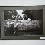 02.10.2020. Kielce. Wystawa fotografii Stanisława Składanowskiego w BWA / Wiktor Taszłow / Radio Kielce