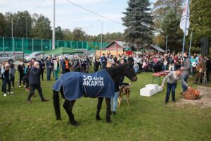 03.10.2020. Kielce. Urodziny konia Akapit / Wiktor Taszłow / Radio Kielce