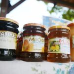 04.10.2020. Tokarnia. Piknik pszczelarski w Muzeum Wsi Kieleckiej / Wiktor Taszłow / Radio Kielce