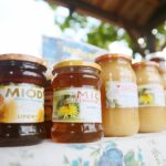 04.10.2020. Tokarnia. Piknik pszczelarski w Muzeum Wsi Kieleckiej / Wiktor Taszłow / Radio Kielce