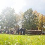 04.10.2020. Tokarnia. Piknik pszczelarski w Muzeum Wsi Kieleckiej / Wiktor Taszłow / Radio Kielce