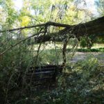 04.10.2020. Kielce. Połamane drzewa / Wiktor Taszłow / Radio Kielce