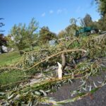 04.10.2020. Kielce. Połamane drzewa / Wiktor Taszłow / Radio Kielce