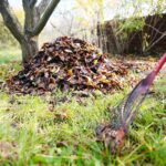 31.10.2020 Kielce. Prace w ogródkach działkowych / Wiktor Taszłow / Radio Kielce