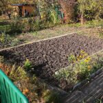 31.10.2020 Kielce. Prace w ogródkach działkowych / Wiktor Taszłow / Radio Kielce