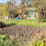 31.10.2020 Kielce. Prace w ogródkach działkowych / Wiktor Taszłow / Radio Kielce