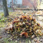 31.10.2020 Kielce. Prace w ogródkach działkowych / Wiktor Taszłow / Radio Kielce