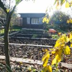 31.10.2020 Kielce. Prace w ogródkach działkowych / Wiktor Taszłow / Radio Kielce