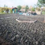 31.10.2020 Kielce. Prace w ogródkach działkowych / Wiktor Taszłow / Radio Kielce