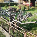 31.10.2020 Kielce. Prace w ogródkach działkowych / Wiktor Taszłow / Radio Kielce