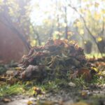 31.10.2020 Kielce. Prace w ogródkach działkowych / Wiktor Taszłow / Radio Kielce