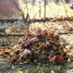 31.10.2020 Kielce. Prace w ogródkach działkowych / Wiktor Taszłow / Radio Kielce