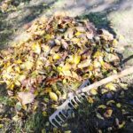 31.10.2020 Kielce. Prace w ogródkach działkowych / Wiktor Taszłow / Radio Kielce