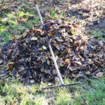 31.10.2020 Kielce. Prace w ogródkach działkowych / Wiktor Taszłow / Radio Kielce